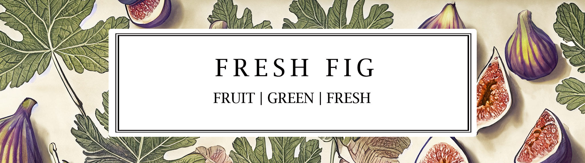 An image of fig leaves and ripe figs, capturing the essence of Parkminster's Fresh Fig fragrance—our best-seller for 14 years, blending sweet, jammy fruit with earthy woods and green, leafy freshness.