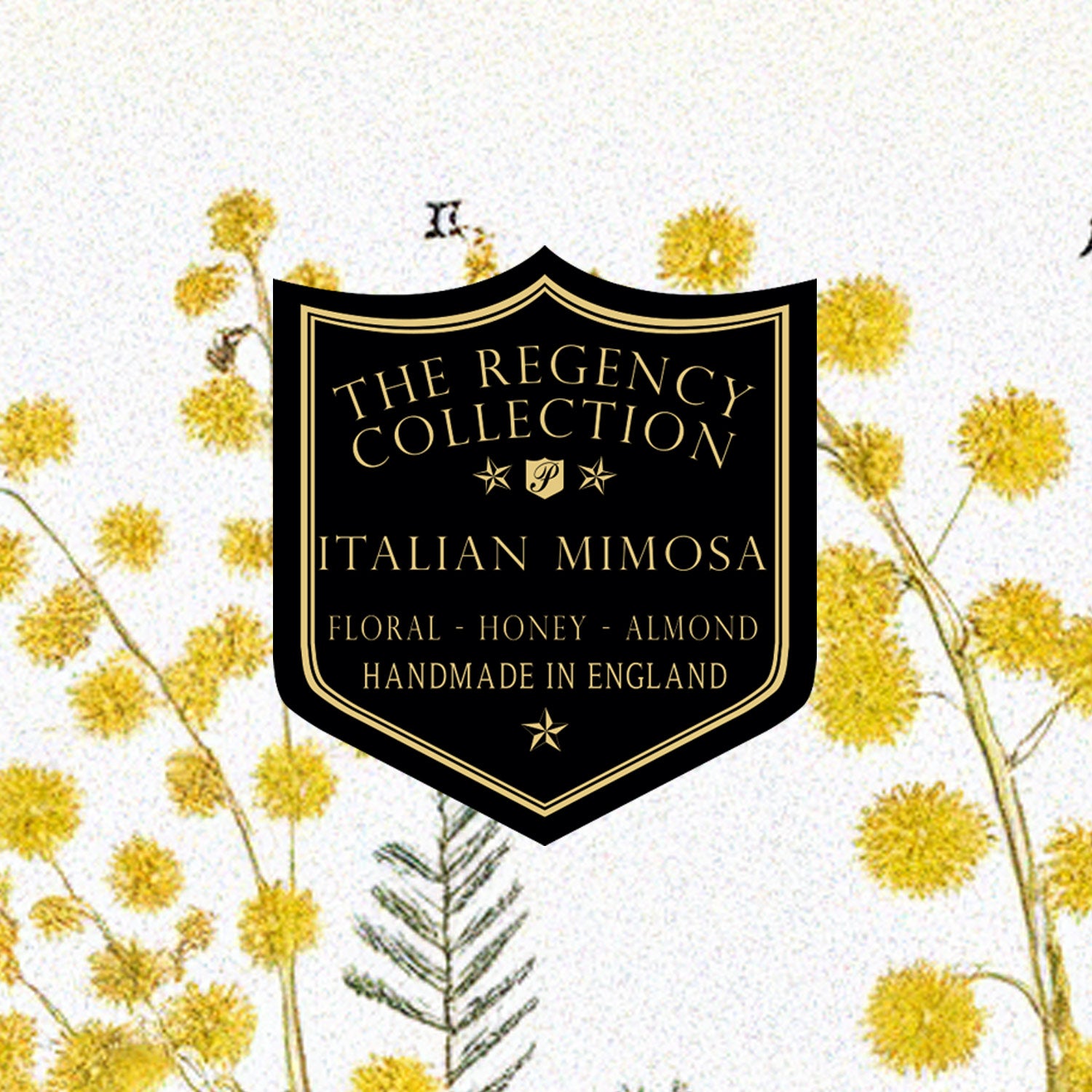 Italian Mimosa fragrance from Parkminster’s premium Regency Collection, featuring hand-made soy wax candles, reed diffusers, and room mists with floral, honey, and almond notes.