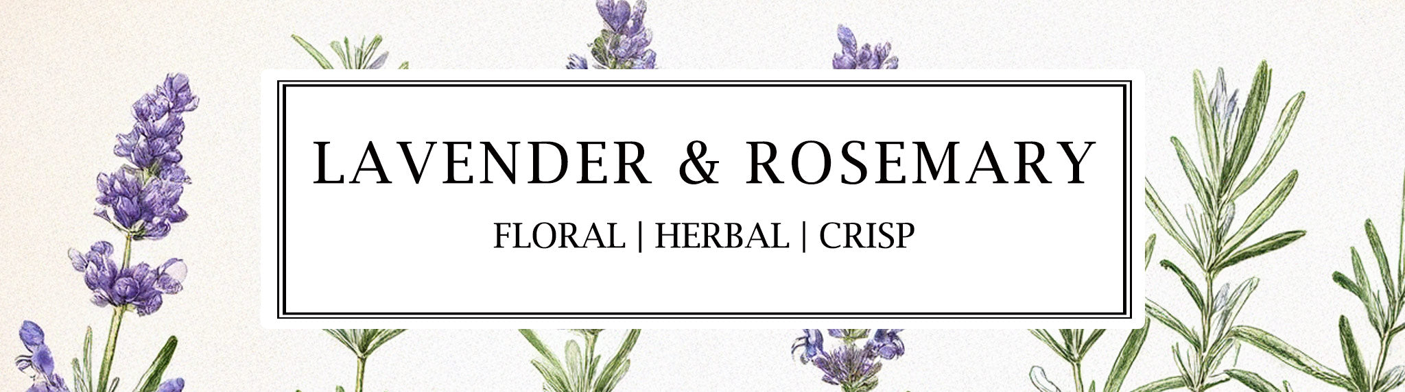 Lavender & Rosemary essential oil reed diffuser – natural, plant-grown home fragrance for a fresh, calming scent. Handcrafted by Parkminster.