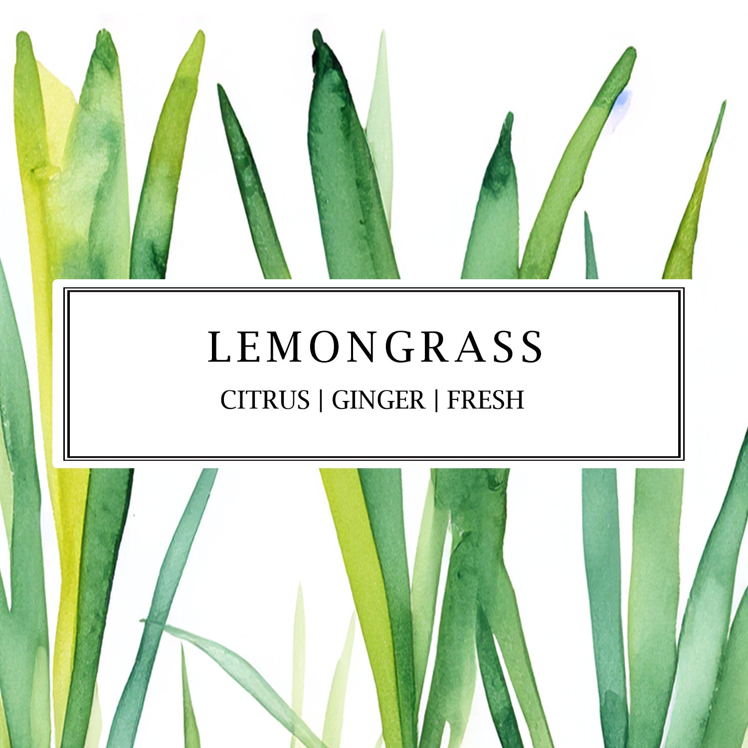 Lemongrass Essential Oil Soy Wax Candles and Plant Based Reed Diffusers from Parkminster Home Fragrance Company Cornwall