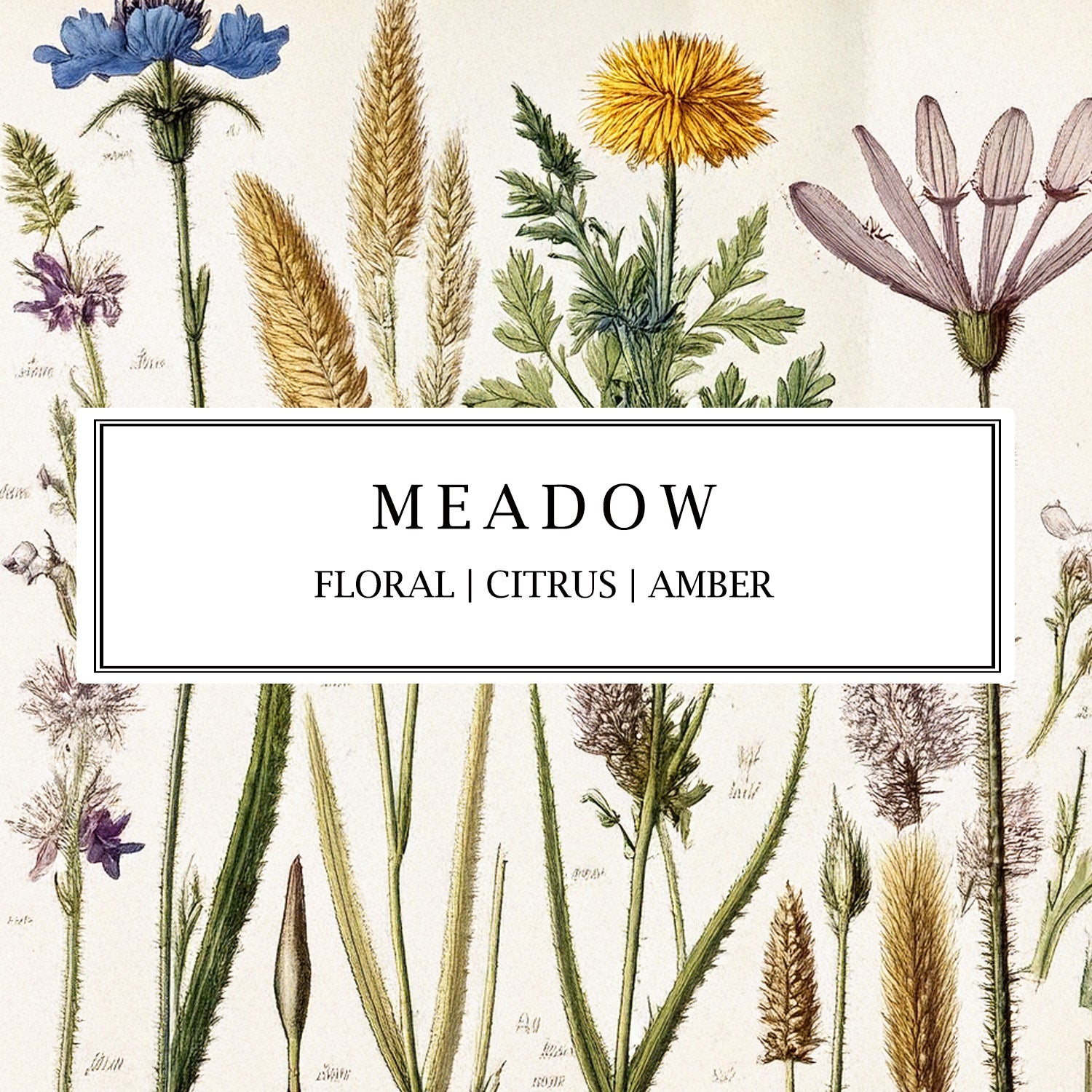 Meadow fragrance collection with hand-made soy wax candles, reed diffusers, and room mists, blending floral, citrus, and amber notes to create a calming, serene ambiance.