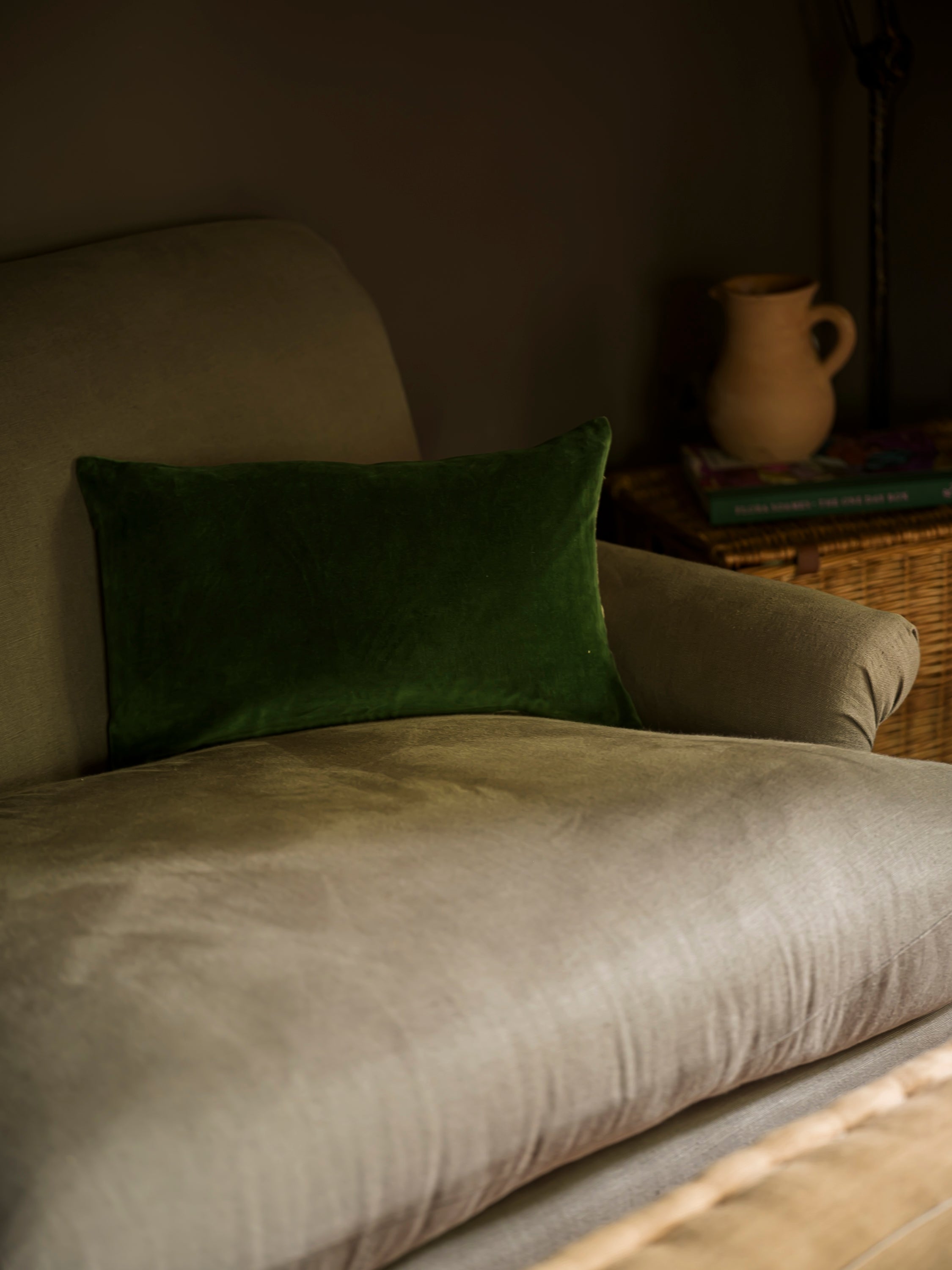 Indian Cotton Velvet Cushion - Parrot curated home decor piece by Parkminster Living