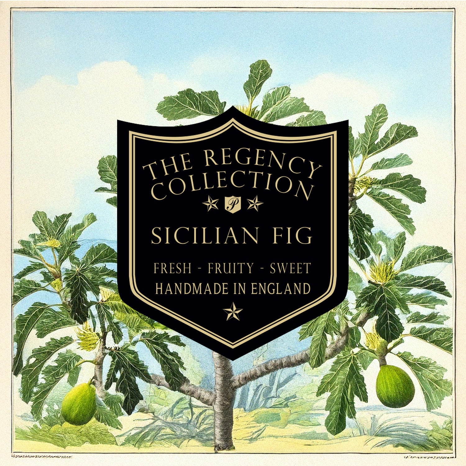 Sicilian Fig fragrance from Parkminster's premium Regency Collection, featuring hand-made soy wax candles, reed diffusers, and room mists with fresh, fruity, and floral notes.