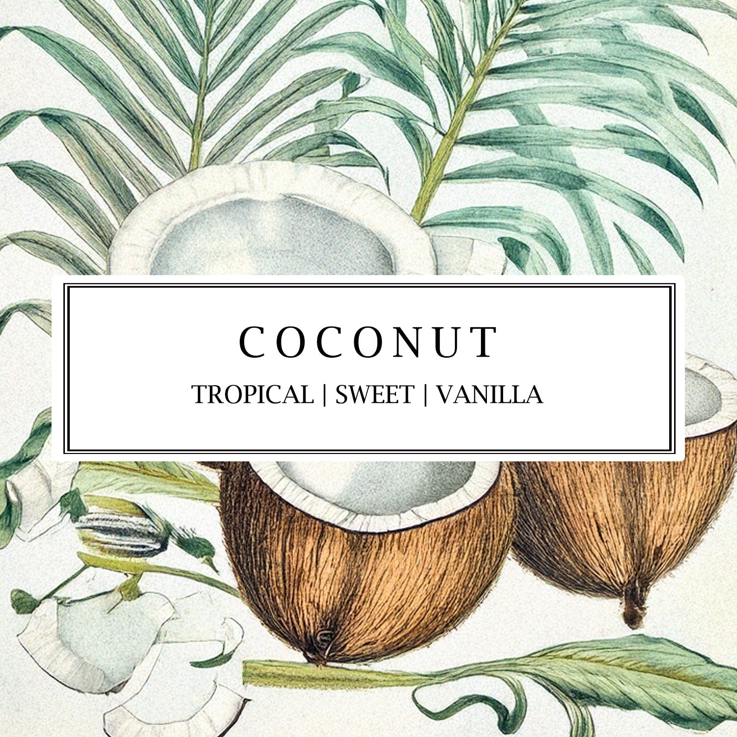 Parminster Coconut fragrance collection featuring hand-made soy wax candles, reed diffusers, and room mists with tropical coconut and floral notes.