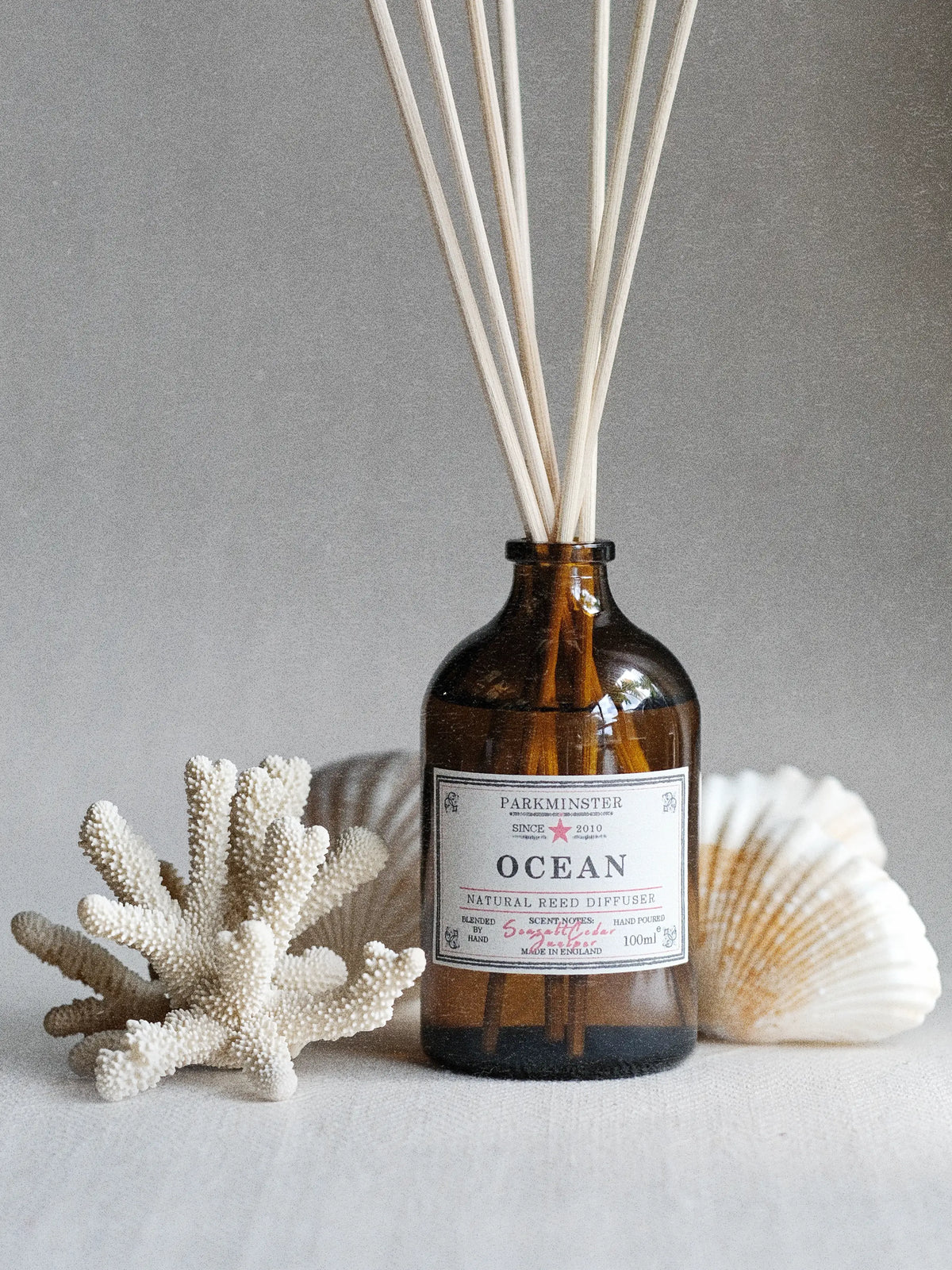 Ocean Reed Diffuser | Coastal Home Fragrance 100ml