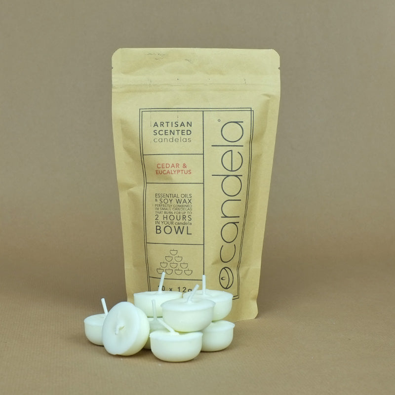Cedar & Eucalyptus Candela scented mini candles - Tea Light Alternative - Parkminster Home Fragrance Company